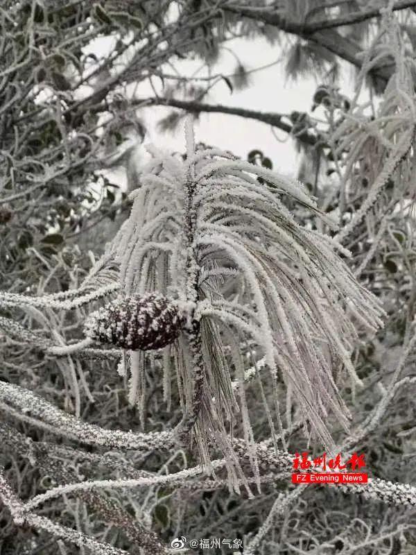 世界无车日是什么意思，世界无车日怎么读（寒潮来袭，多地雪景来了）