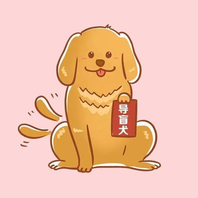 高铁可以带宠物吗，成都高铁可以带宠物吗（这些物品，坐火车不能带→）