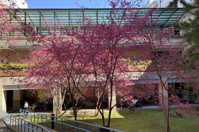 10月份台湾好玩的地方，10月去台湾玩要注意什么（日月潭樱花季2月初浪漫登场）