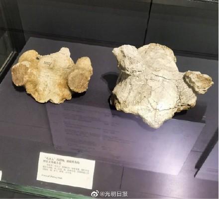 周口店北京遗址位于北京市哪里，周口店遗址位于北京市的什么地方（到周口店北京人遗址博物馆探秘古人类文化）