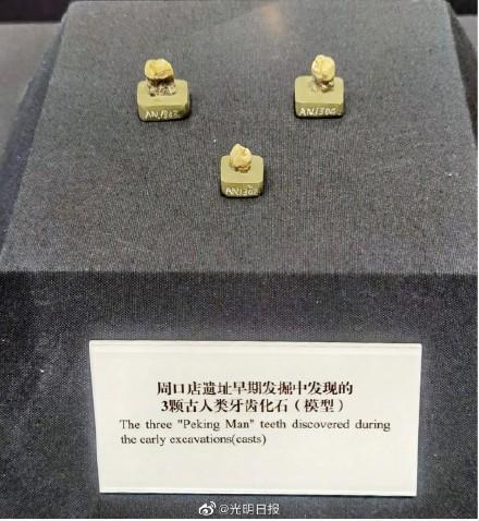 周口店北京遗址位于北京市哪里，周口店遗址位于北京市的什么地方（到周口店北京人遗址博物馆探秘古人类文化）