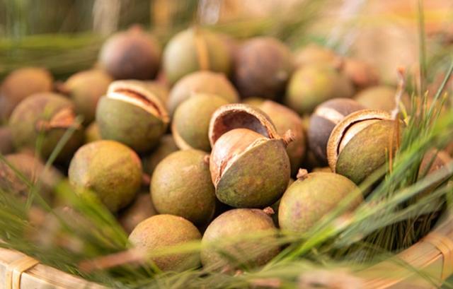 经常吃这6种食物，可以生发！（这6种食物是真正的“补脑高手”）