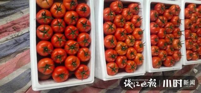 一点红是什么菜，美味好吃的野菜（杭州男子菜市场买到空心、果肉泛青的番茄）
