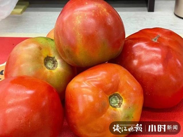 一点红是什么菜，美味好吃的野菜（杭州男子菜市场买到空心、果肉泛青的番茄）