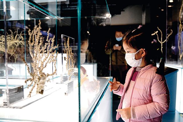 2021年国庆是建国多少周年，2021年的国庆是建国几周年（博物馆引领文化消费新热潮）