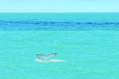 第三季度是哪几个月，第三季度是哪几个月共多少天几个星期零几天（2023年全球九大趋势展望）