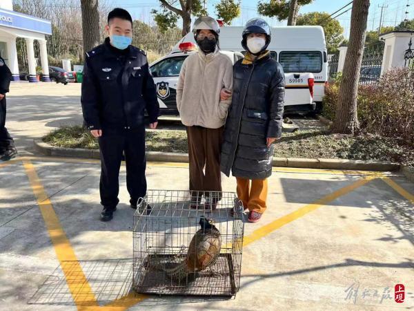 山鸡是几级保护动物，养野鸡需要办什么手续（林业部门确认为国家二级保护动物）