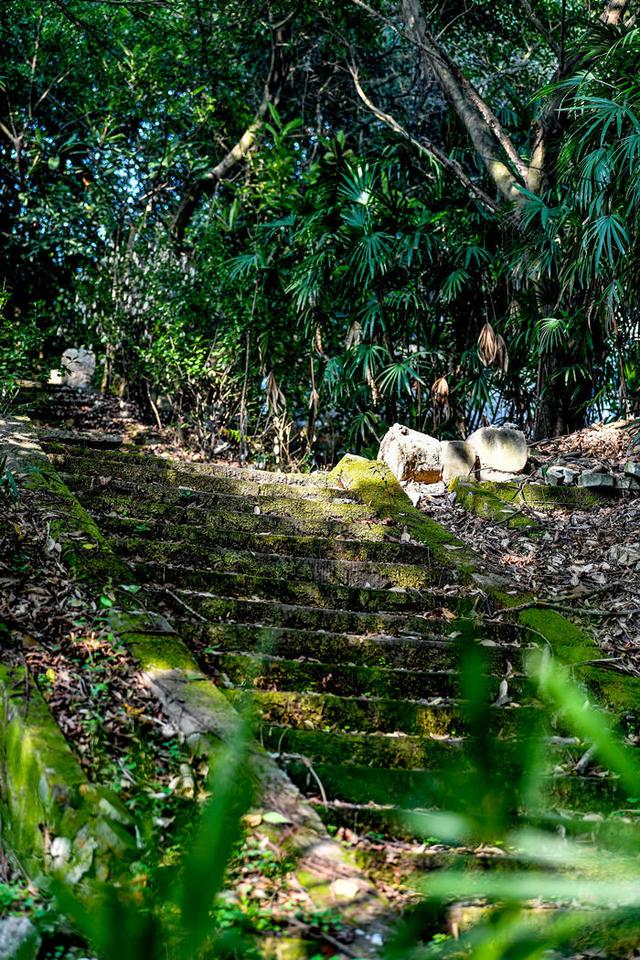 重庆矿山公园旅游攻略，废弃矿山蝶变生态公园