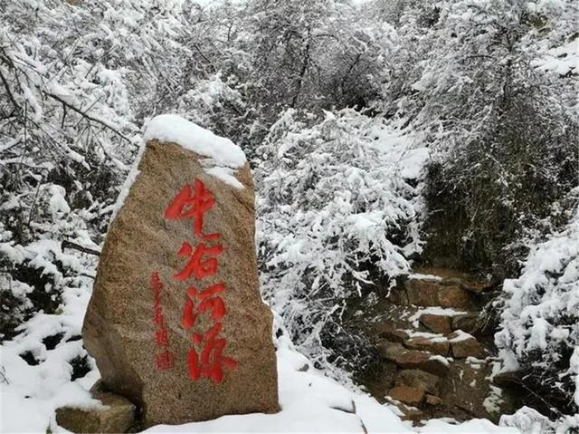 四大名镇是指哪些，四大名镇分别做什么（这个地方曾位列甘肃四大名镇）