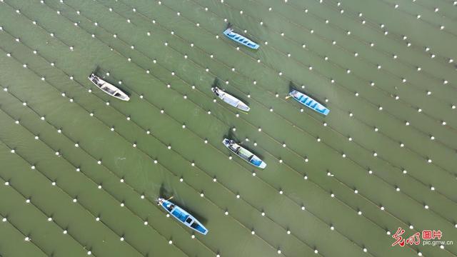 德清是哪个省哪个市的，浙江德清县属于哪个市（浙江德清：水上春耕备耕忙）