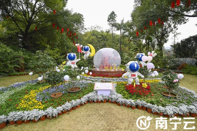 南宁金花茶公园万株茶花绽放 为春日增添生机