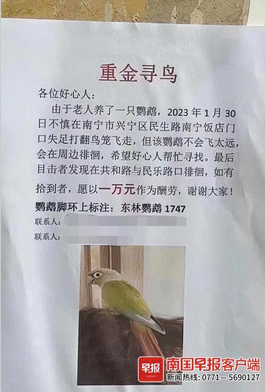 微信删除的好友怎么偷偷加回来，微信删了好友怎么偷偷加回来（南宁有人重金寻鸟）