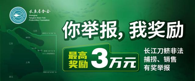 微信怎么投诉别人?微信举报别人的方法，微信如何举报别人（遇到这种行为请举报）