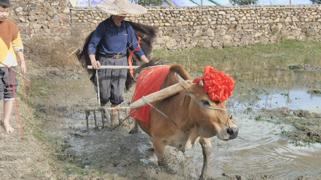 立春祭农寓意什么，安远这个村热闹极了！