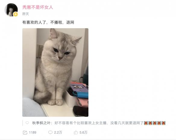 微信看不到好友朋友圈是怎么回事，微信好友资料里看不到朋友圈是怎么回事（全网500万粉的“擦边导师”）