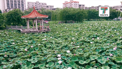 性价比高是什么意思，性价比是什么意思（《狂飙》中的“京海市”）