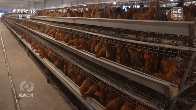 苹果手机重要地点在哪看，苹果手机重要地点怎么看（焦点访谈丨合力打通“出山路”）