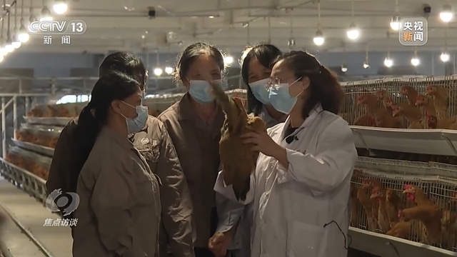 苹果手机重要地点在哪看，苹果手机重要地点怎么看（焦点访谈丨合力打通“出山路”）