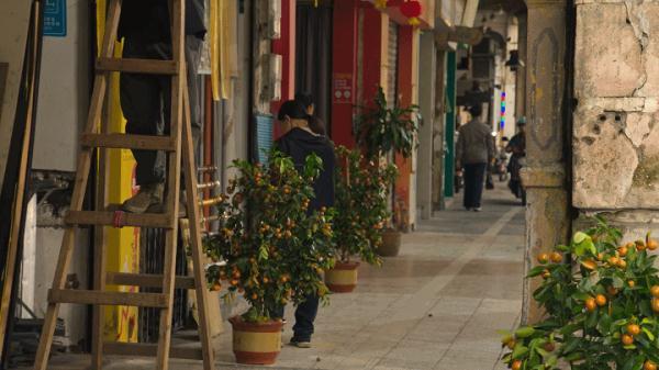 搜索历史关闭了怎么打开，怎样恢复浏览器搜索历史（跟着《狂飙》一起火了）