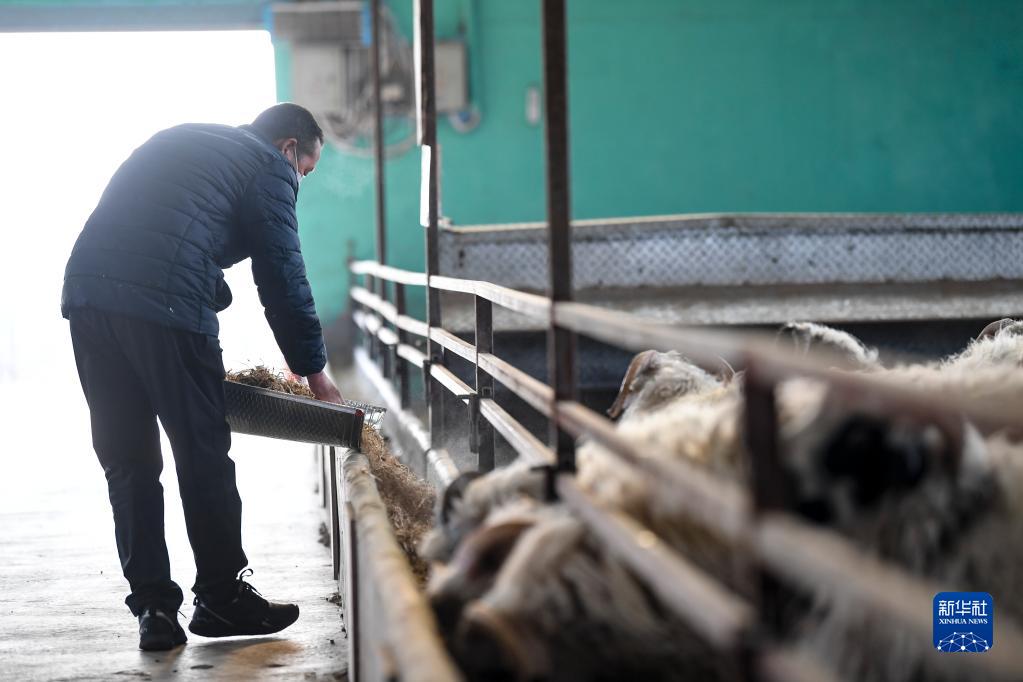 盐池路升家电维修售后 “滩羊和枸杞之乡”的土特产生意经