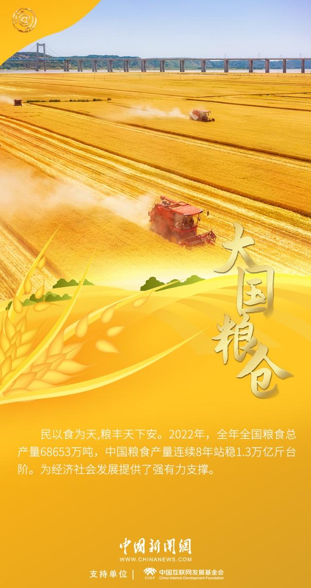 德智体美劳指什么，德智体美劳全面发展（“五个一百”里看正能量中国的“德智体美劳”）