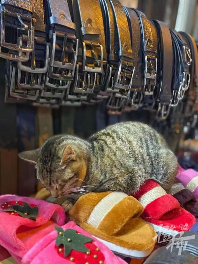 土耳其旅游，土耳其旅游团报价（转眼成了废墟……几天前骑行离开土耳其的中国驴友）