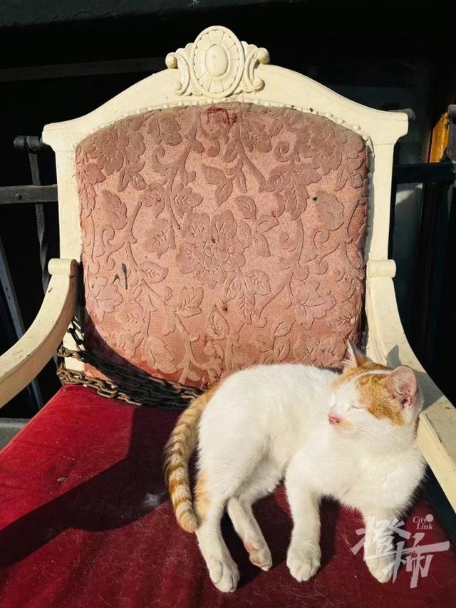 土耳其旅游，土耳其旅游团报价（转眼成了废墟……几天前骑行离开土耳其的中国驴友）