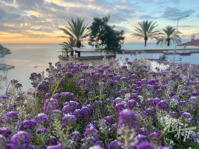 土耳其旅游，土耳其旅游团报价（转眼成了废墟……几天前骑行离开土耳其的中国驴友）