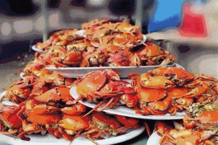 年例的来历和含义，化州年例的来历和含义（真的不要叫我去茂名吃年例了）