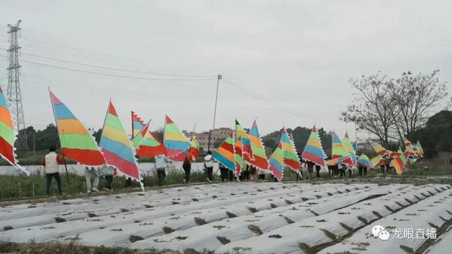 年例的来历和含义，化州年例的来历和含义（真的不要叫我去茂名吃年例了）