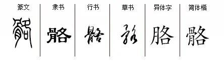 汉字髂怎么读，髂怎么读（汉字历史——抽象篇<骼>）