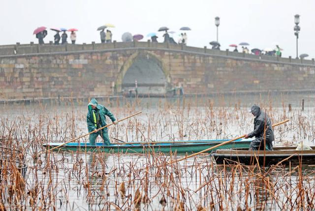 雨一直下气氛不算融洽，张宇雨一直下乐谱及歌词（流浪太阳下周回来）