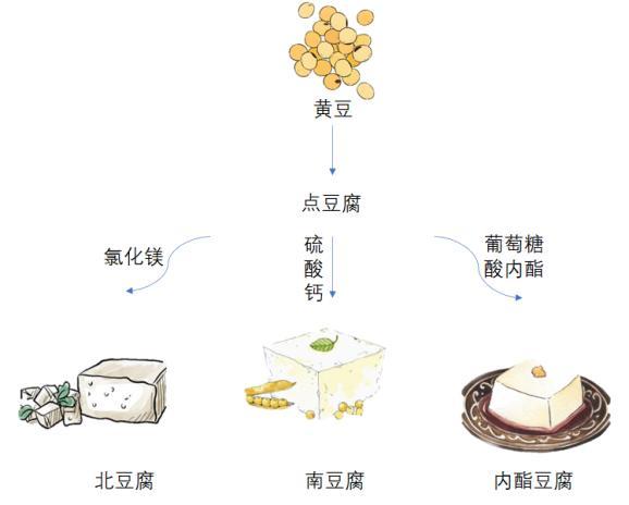 青豆的营养价值及功效，哪个“爱豆”会脱颖而出