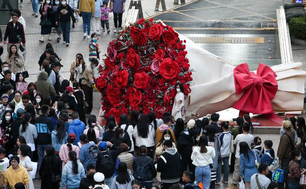 云南花卉批发市场，昆明花卉批发市场在哪里（闹市街头现“巨无霸”花束）