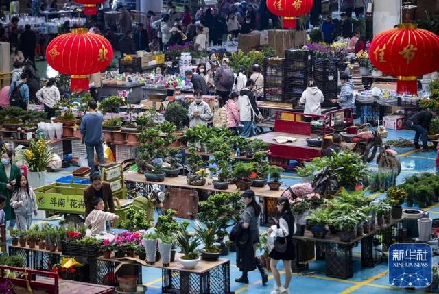 云南花卉批发市场，昆明花卉批发市场在哪里（闹市街头现“巨无霸”花束）