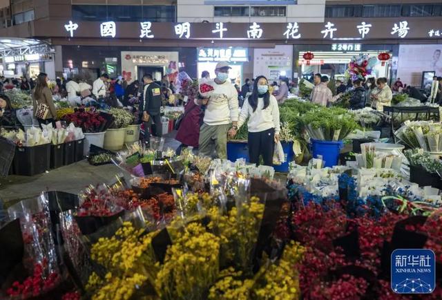 云南花卉批发市场，昆明花卉批发市场在哪里（闹市街头现“巨无霸”花束）