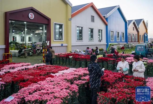 云南花卉批发市场，昆明花卉批发市场在哪里（闹市街头现“巨无霸”花束）