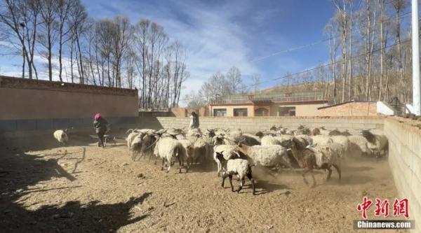 度的多音字组词，度字的多音字组词（几小时内浏览量破千万）