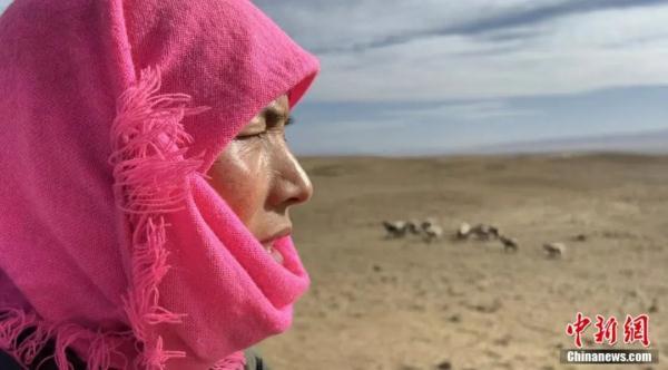 度的多音字组词，度字的多音字组词（几小时内浏览量破千万）