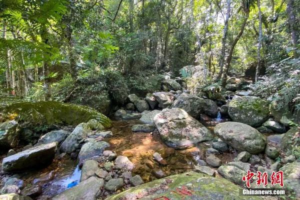 五指山最值得去的景区，一定要去一趟五指山