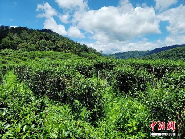 五指山最值得去的景区，一定要去一趟五指山