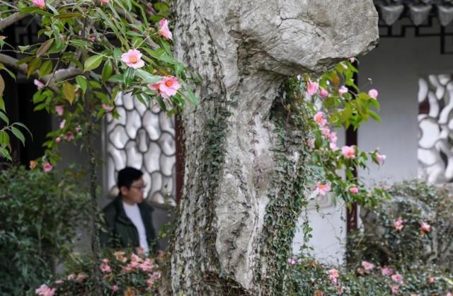 苏州有没有地铁，苏州未来规划多少条地铁（热热闹闹的苏州，回来了）