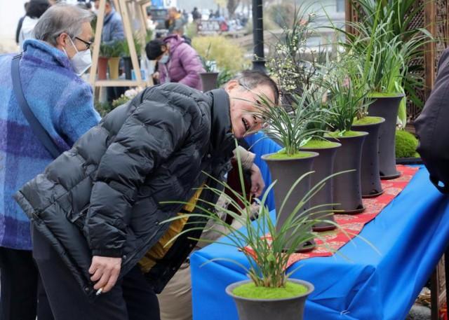 苏州有没有地铁，苏州未来规划多少条地铁（热热闹闹的苏州，回来了）
