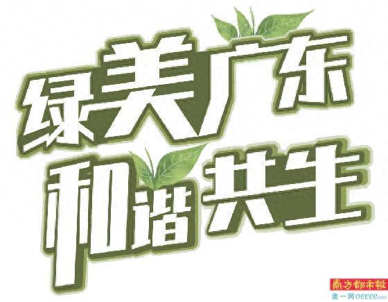 江门新会“小鸟天堂” 靠什么留住天堂