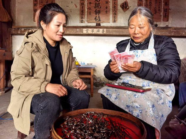 石斛产地哪里正宗，铁皮石斛产地哪里正宗（“中国紫皮石斛之乡”龙陵县晒出产业振兴大“枫”景）