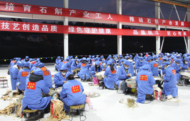 石斛产地哪里正宗，铁皮石斛产地哪里正宗（“中国紫皮石斛之乡”龙陵县晒出产业振兴大“枫”景）