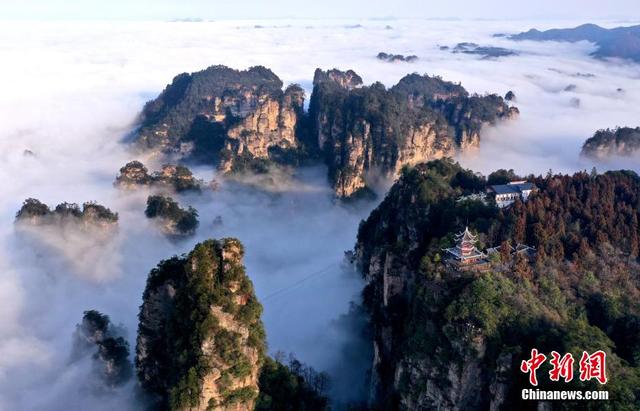 时隐时现宛如仙境 张家界黄石寨雨后现云海美景