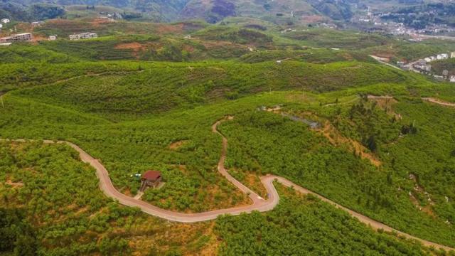 紧紧地什么填词语，紧紧的什么填空是什么（樱桃为什么这样红——全国人大代表肖军的富民兴村“密码”）