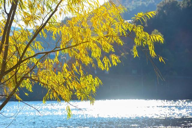 泸沽湖详细介绍，那些藏在春日里的诗意美景