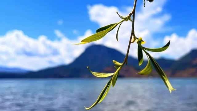 泸沽湖详细介绍，那些藏在春日里的诗意美景